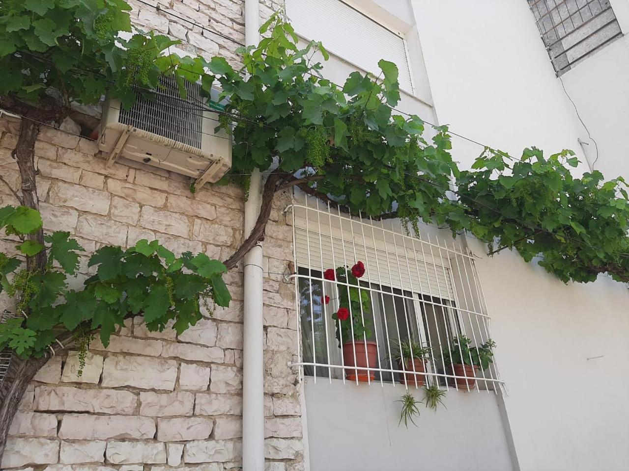 Sofia'S Modern Apartment Gjirokastër Eksteriør billede